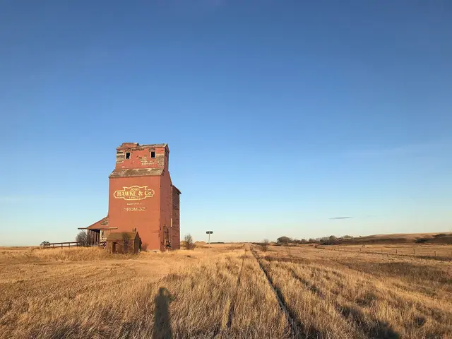 Old Hawke & Co. grain elevator beside the abandoned rail line